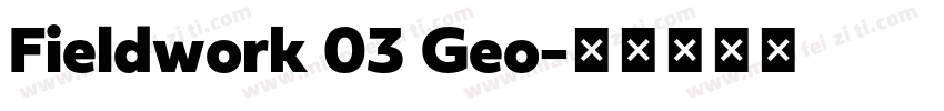Fieldwork 03 Geo字体转换